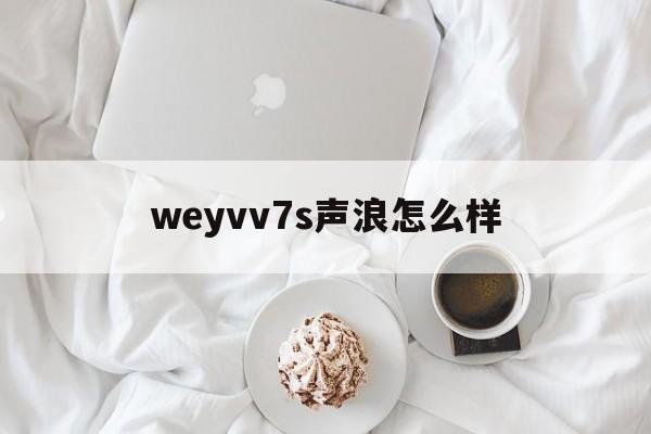 weyvv7s声浪怎么样(weyvv7质量到底怎么样)