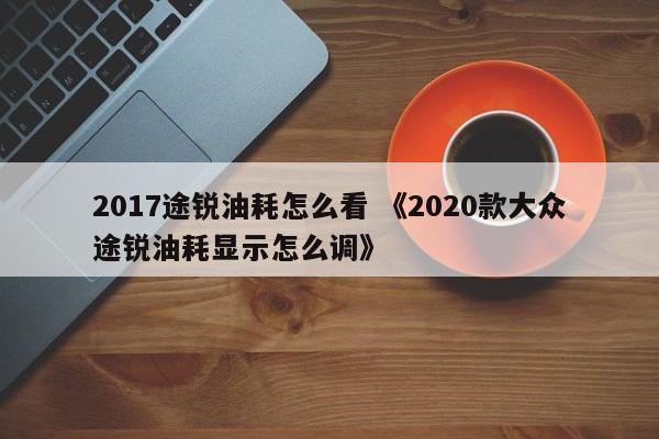 2017途锐油耗怎么看 《2020款大众途锐油耗显示怎么调》