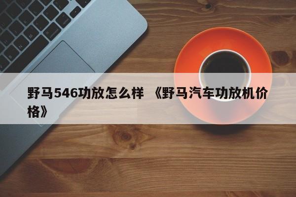 野马546功放怎么样 《野马汽车功放机价格》