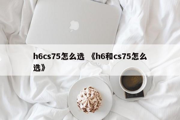 h6cs75怎么选 《h6和cs75怎么选》