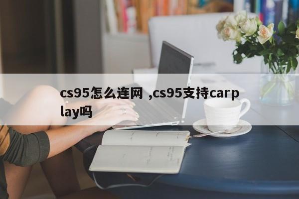 cs95怎么连网 ,cs95支持carplay吗