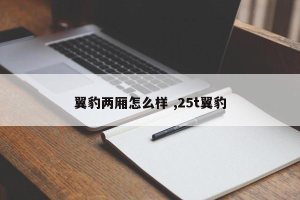 翼豹两厢怎么样 ,25t翼豹