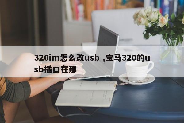 320im怎么改usb ,宝马320的usb插口在那