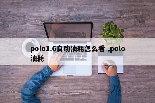 polo1.6自动油耗怎么看 ,polo油耗