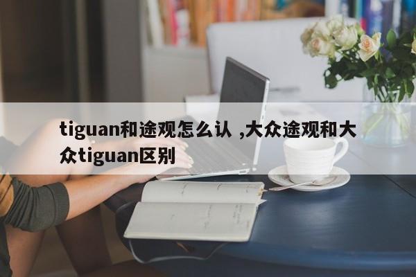 tiguan和途观怎么认 ,大众途观和大众tiguan区别