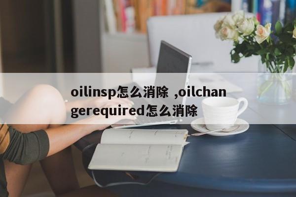 oilinsp怎么消除 ,oilchangerequired怎么消除