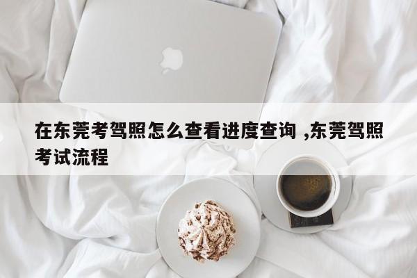 在东莞考驾照怎么查看进度查询 ,东莞驾照考试流程