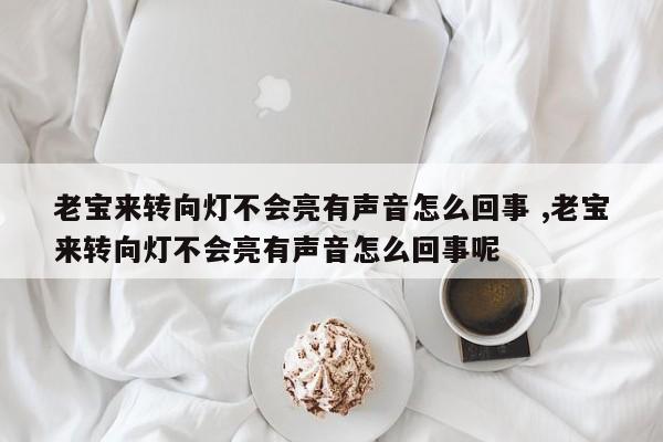 老宝来转向灯不会亮有声音怎么回事 ,老宝来转向灯不会亮有声音怎么回事呢