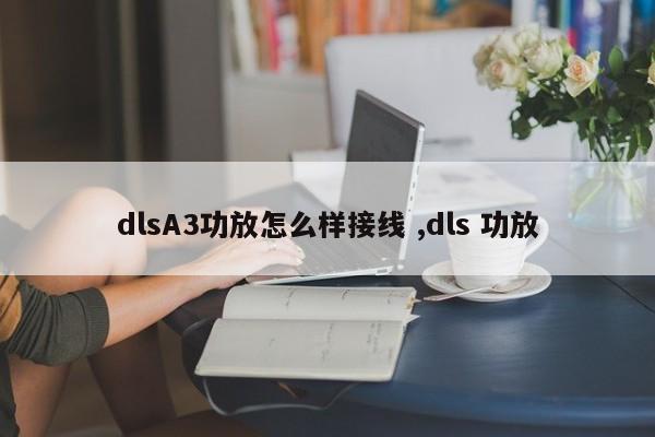 dlsA3功放怎么样接线 ,dls 功放