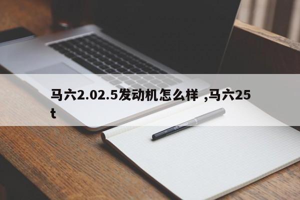 马六2.02.5发动机怎么样 ,马六25t