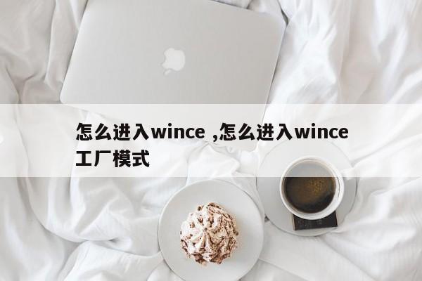 怎么进入wince ,怎么进入wince工厂模式