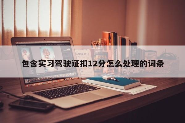 包含实习驾驶证扣12分怎么处理的词条