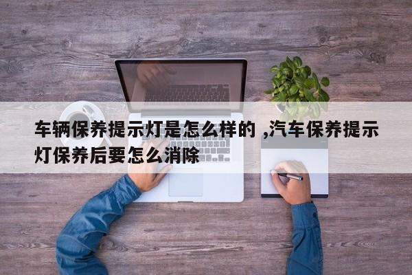 车辆保养提示灯是怎么样的 ,汽车保养提示灯保养后要怎么消除