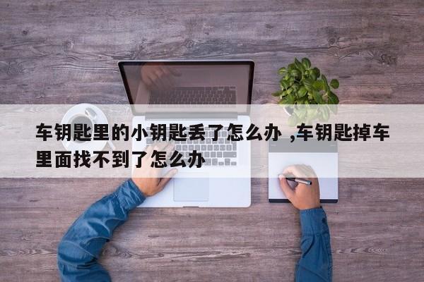 车钥匙里的小钥匙丢了怎么办 ,车钥匙掉车里面找不到了怎么办