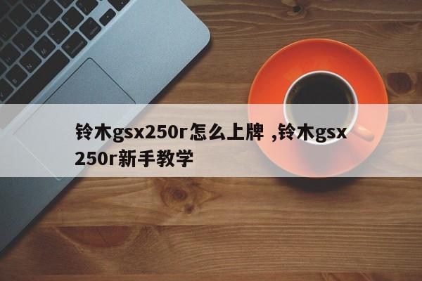 铃木gsx250r怎么上牌 ,铃木gsx250r新手教学