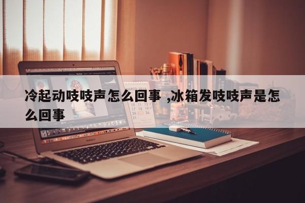 冷起动吱吱声怎么回事 ,冰箱发吱吱声是怎么回事