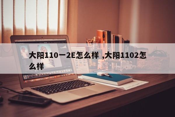 大阳110一2E怎么样 ,大阳1102怎么样