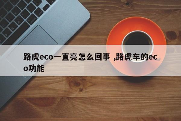 路虎eco一直亮怎么回事 ,路虎车的eco功能