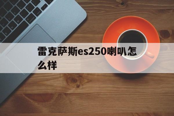 雷克萨斯es250喇叭怎么样(雷克萨斯es200喇叭什么牌子)